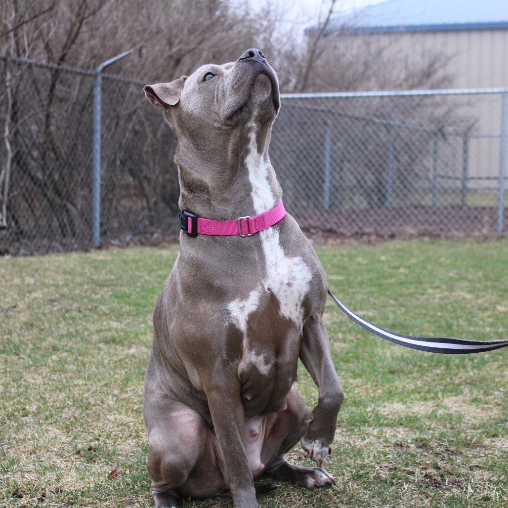 Skyrim — thumbnail 3