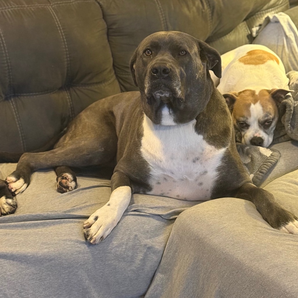 Big Luna, photo 18