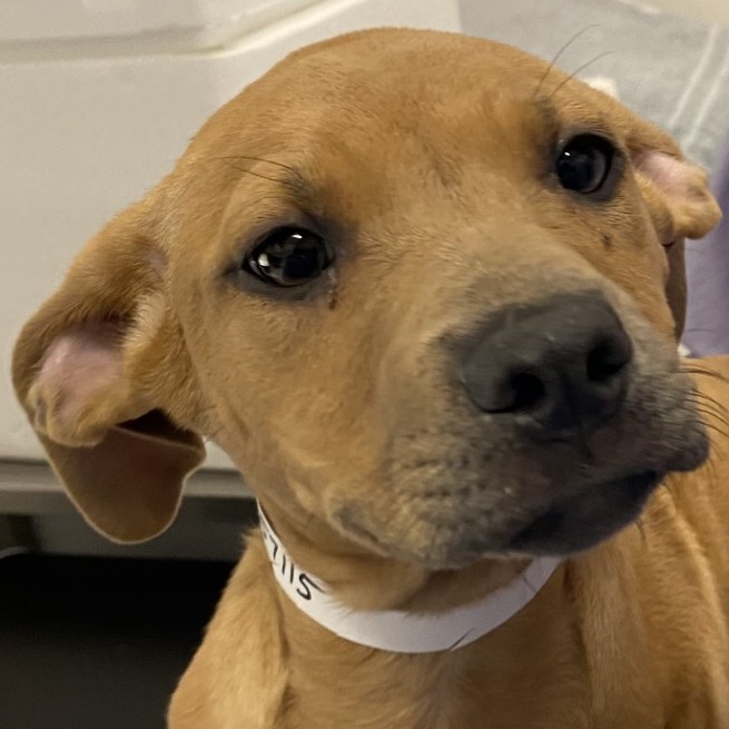 Fabiola — thumbnail 2