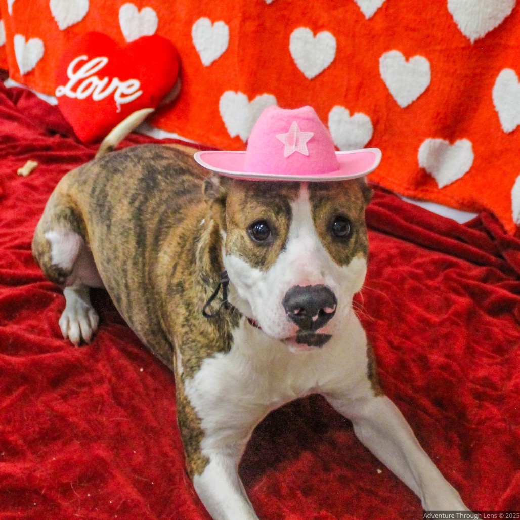 Lilly — thumbnail 5