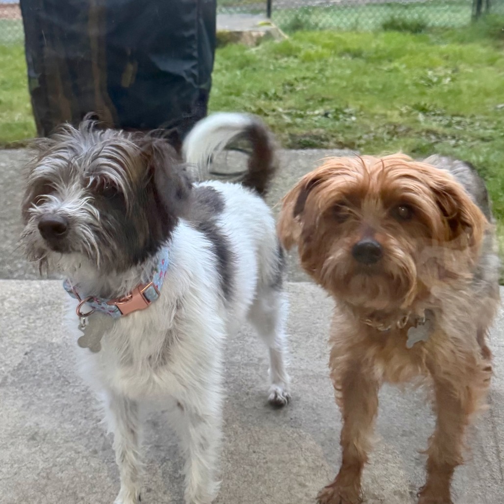 Stormy — thumbnail 3