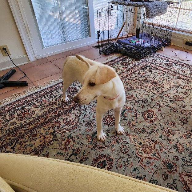 Wendy — thumbnail 5