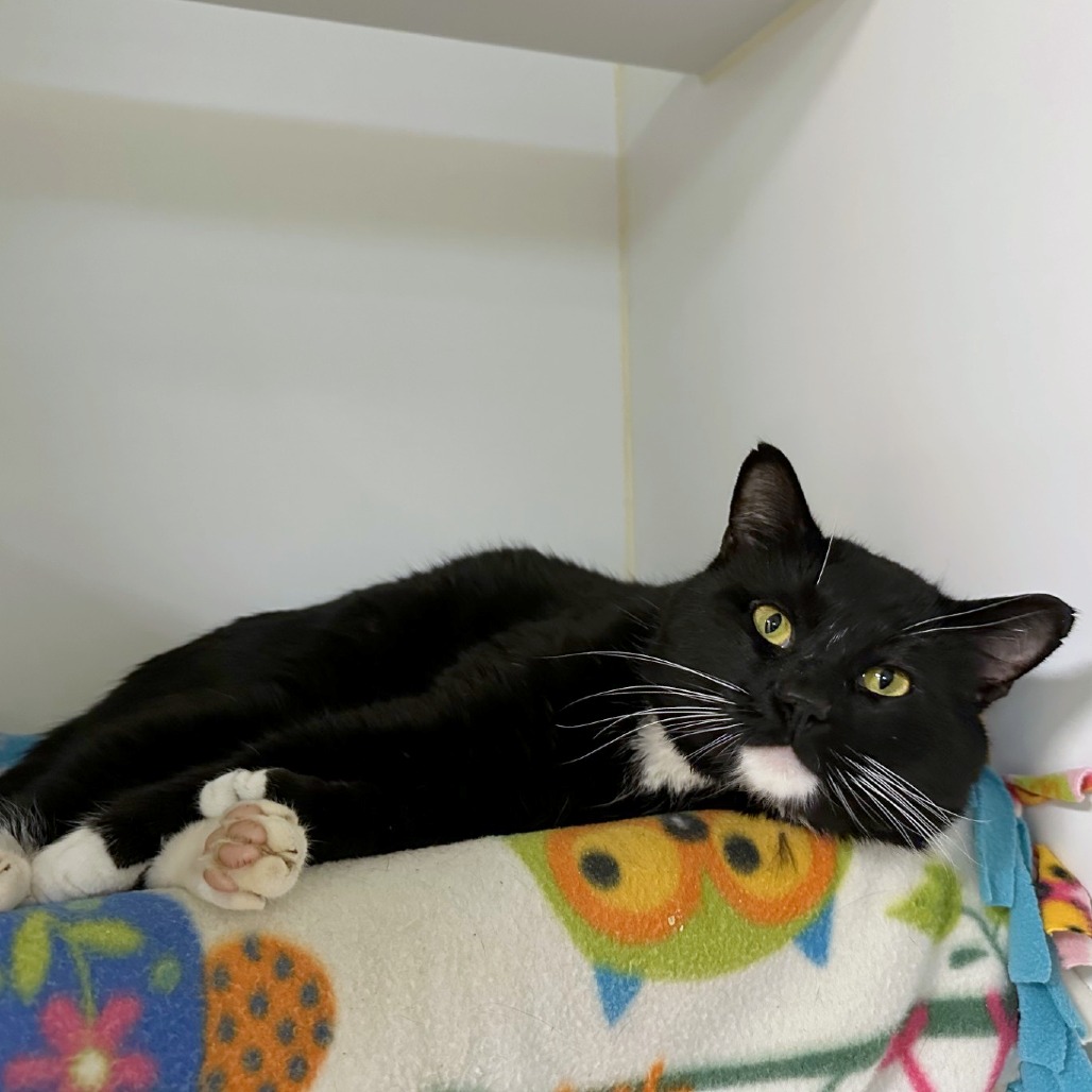 Johnny — thumbnail 2