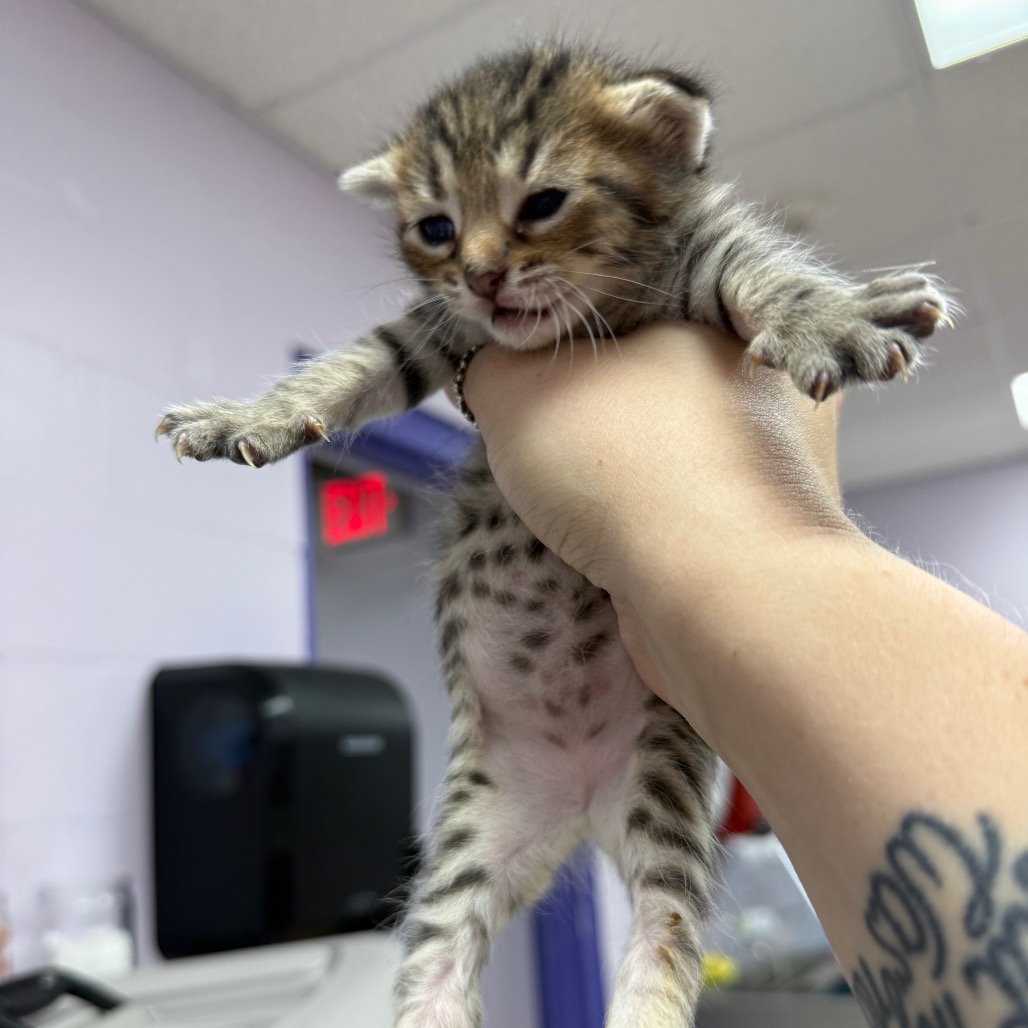Mine