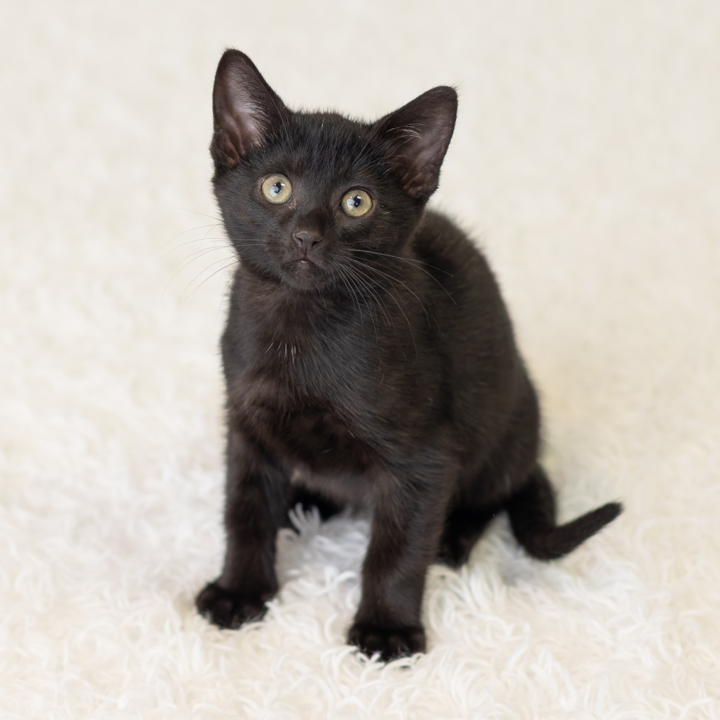 Young Zippy, photo 6