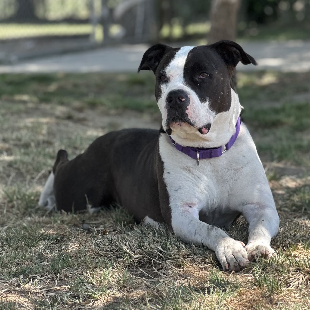 Sophia, photo 21