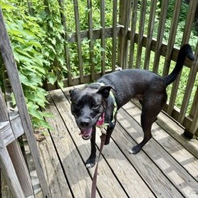 Photo of Chip 13