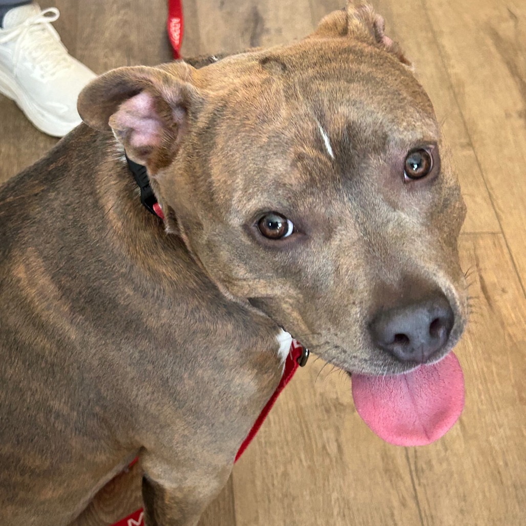 623d9776eaeb417619805f89c3921163