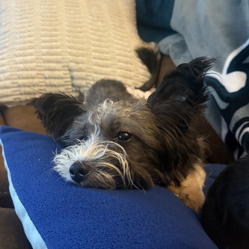 Sally, photo 7