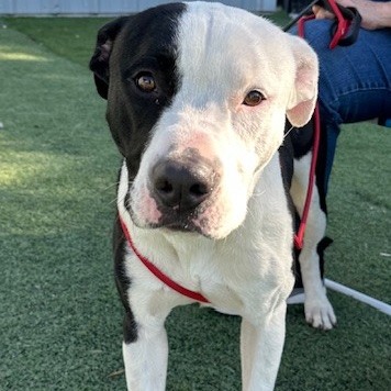 JALEN J — thumbnail 7