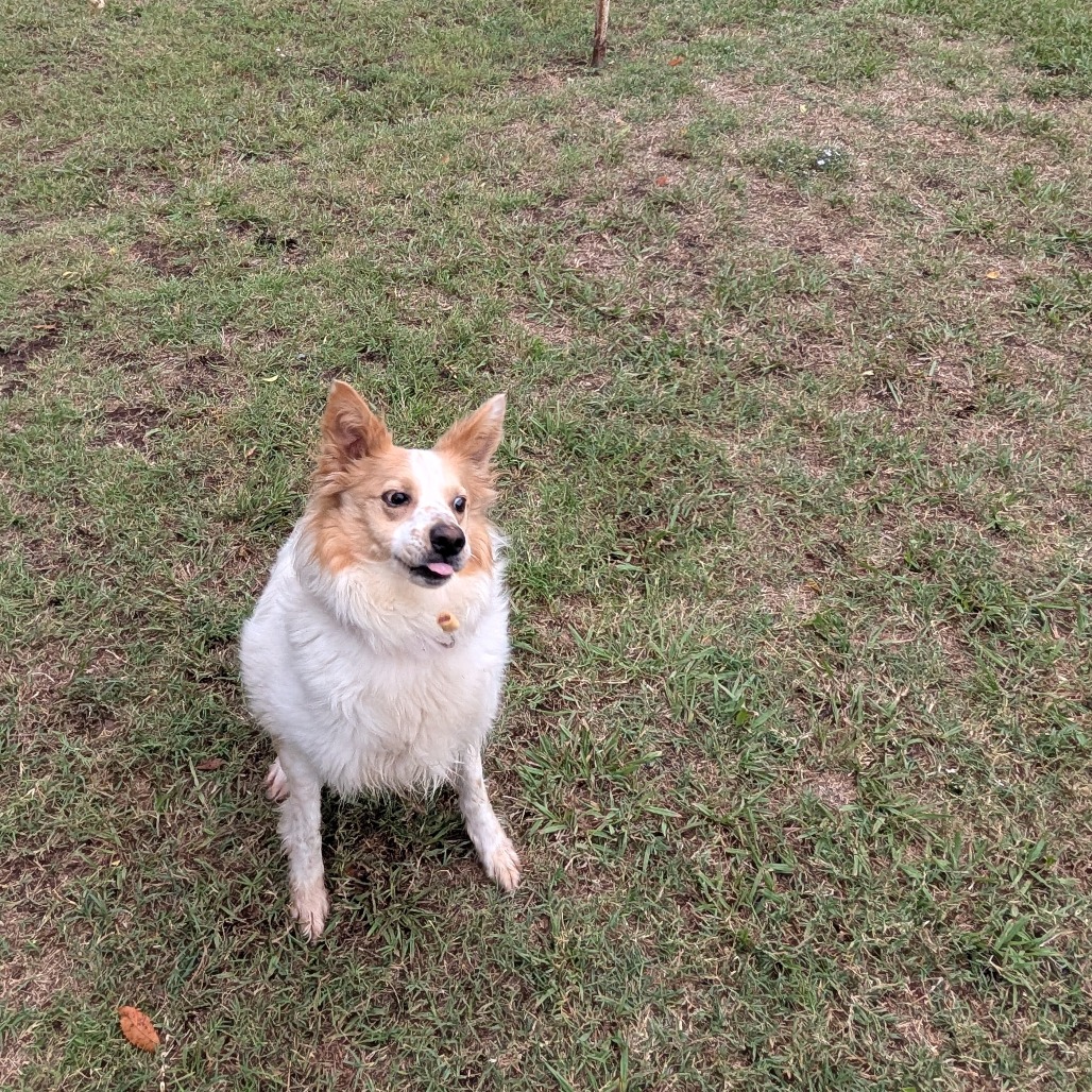 Sandy photo 19