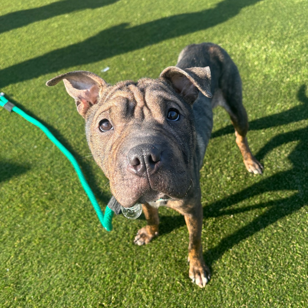 Smooches — thumbnail 3