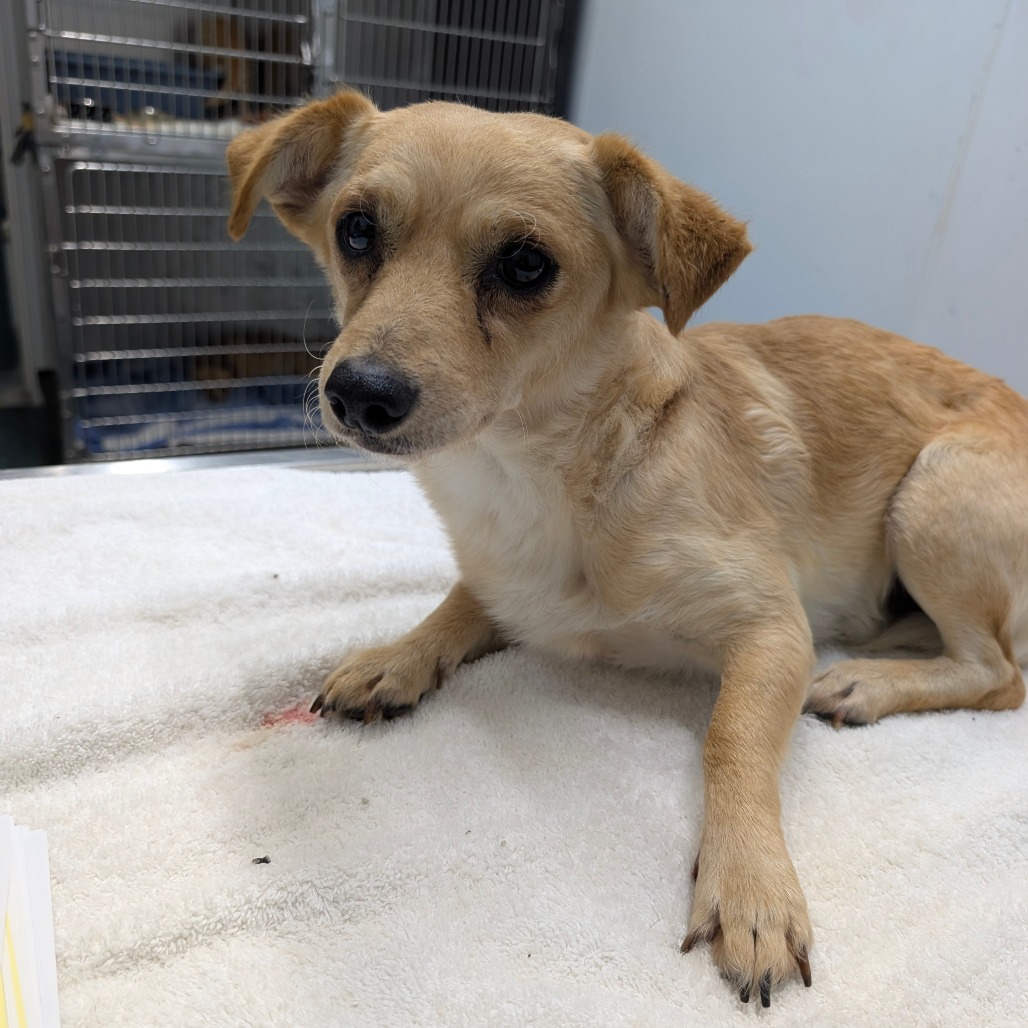 Clay — thumbnail 2