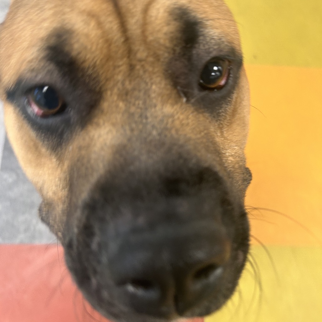 Retro — thumbnail 2