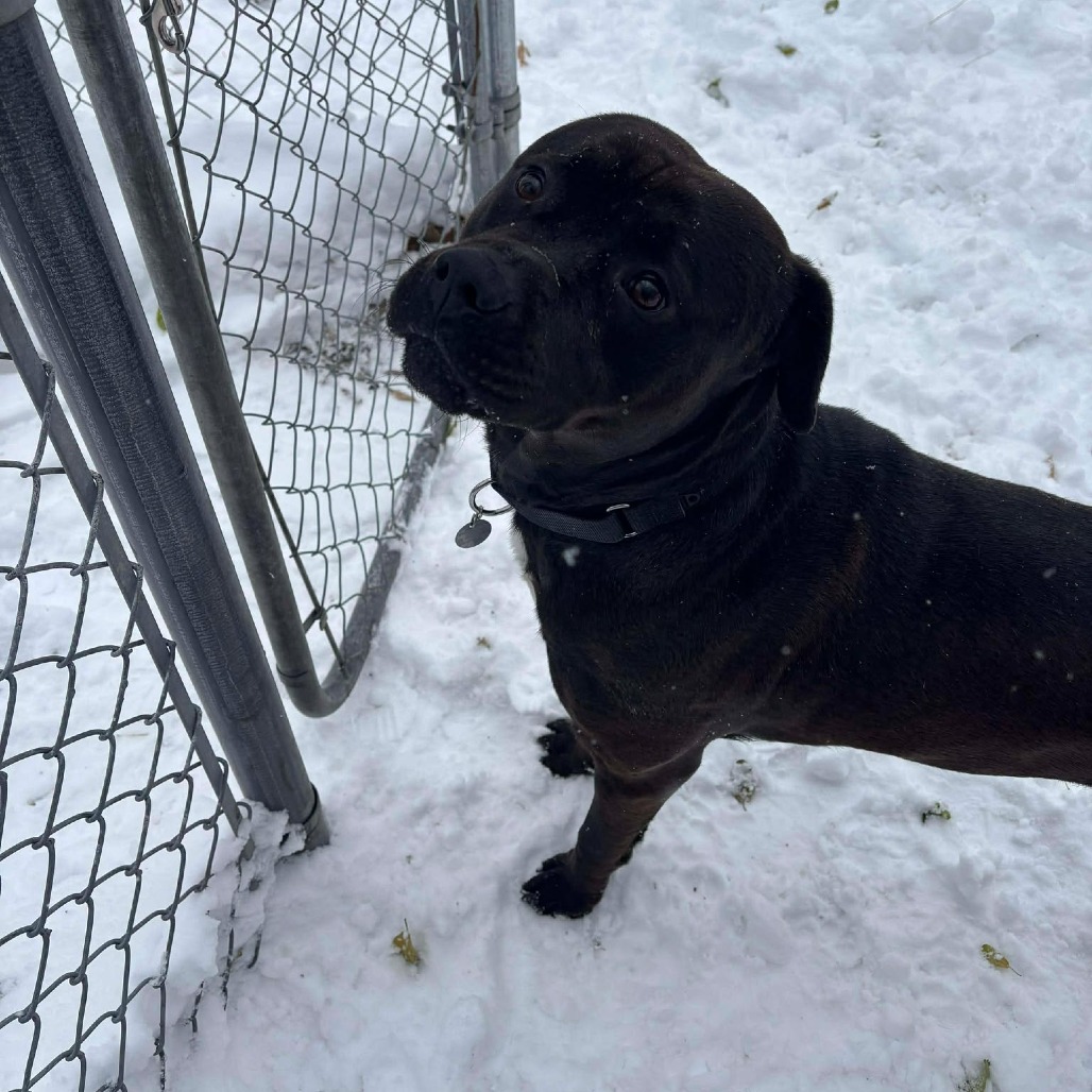 Loverboy — thumbnail 5