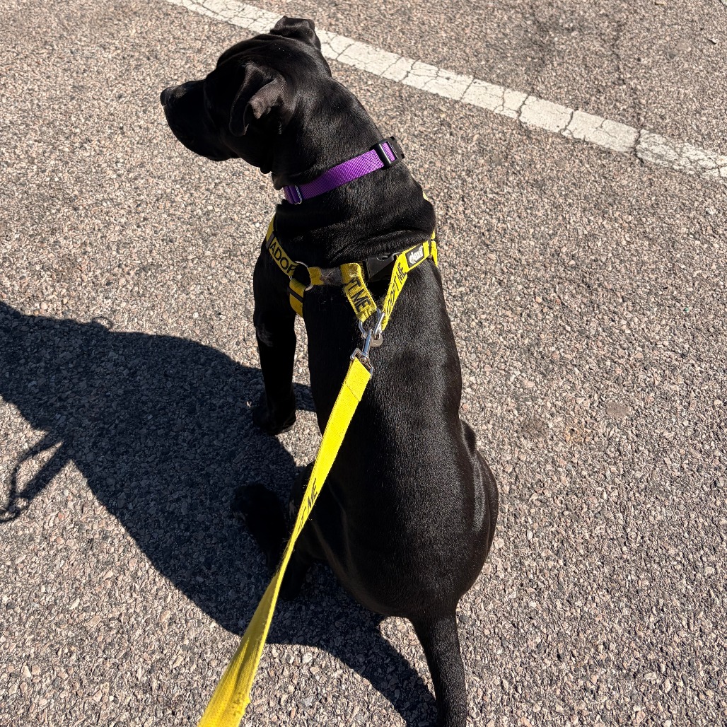 Fleet — thumbnail 5