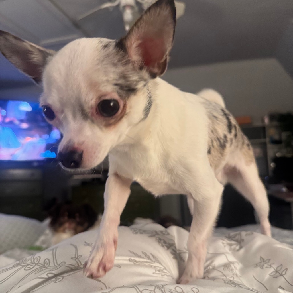 Photo of Jack 4