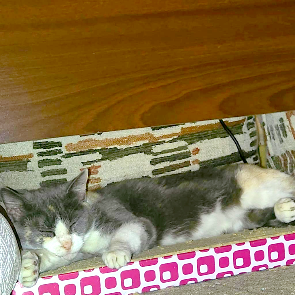 See You Next Time — thumbnail 10