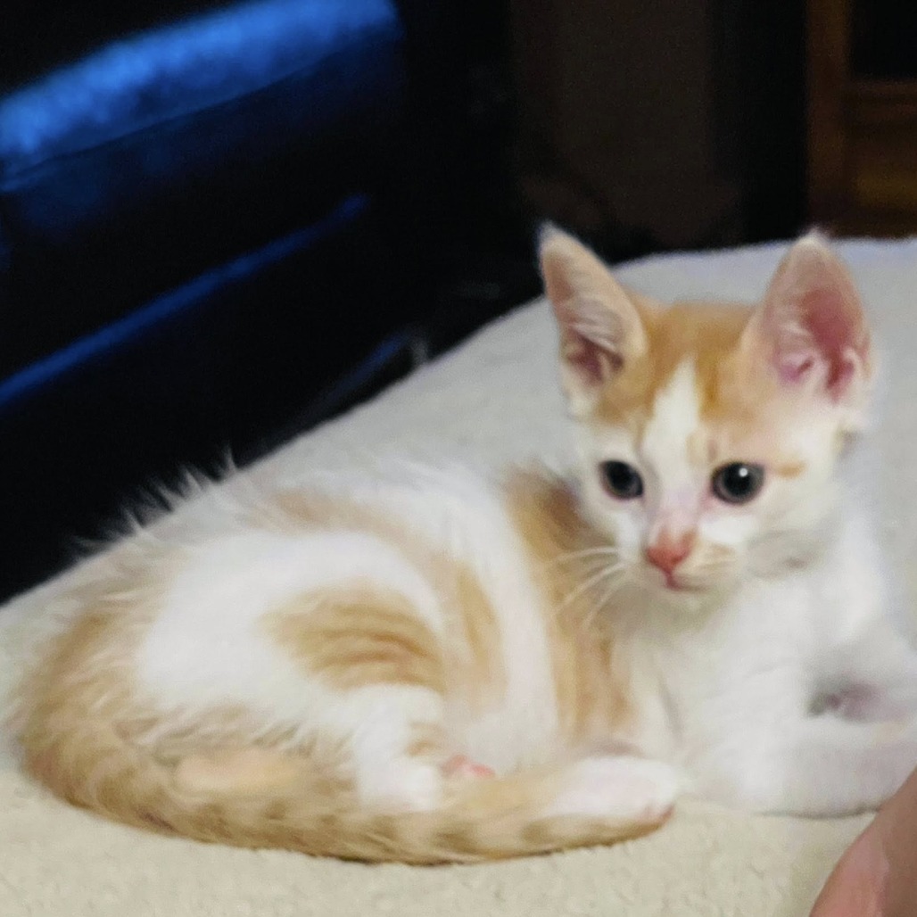 Newbie K - Help Us Name This Newbie! Image