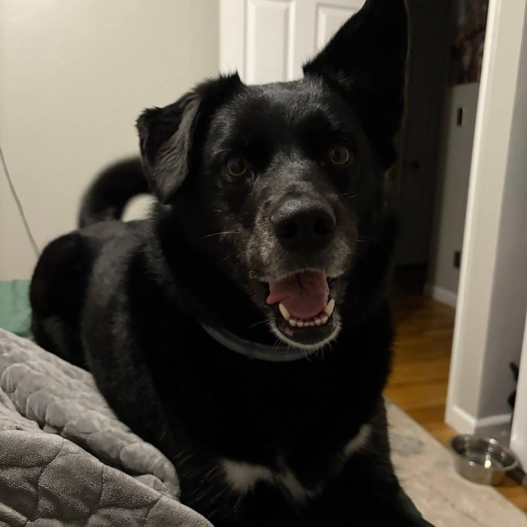 Ella — thumbnail 3