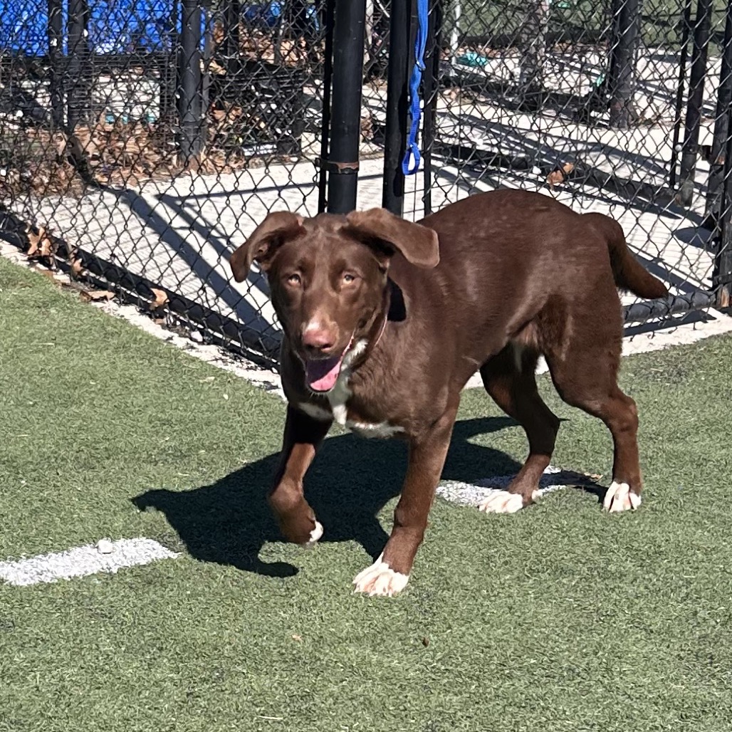 LILLY — thumbnail 4