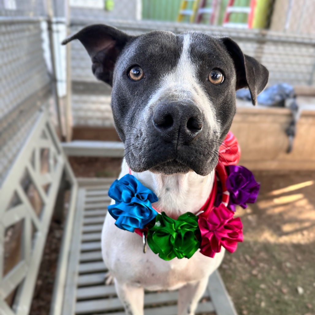 Lillian — thumbnail 7