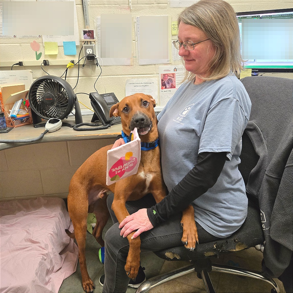 Sonny — thumbnail 9