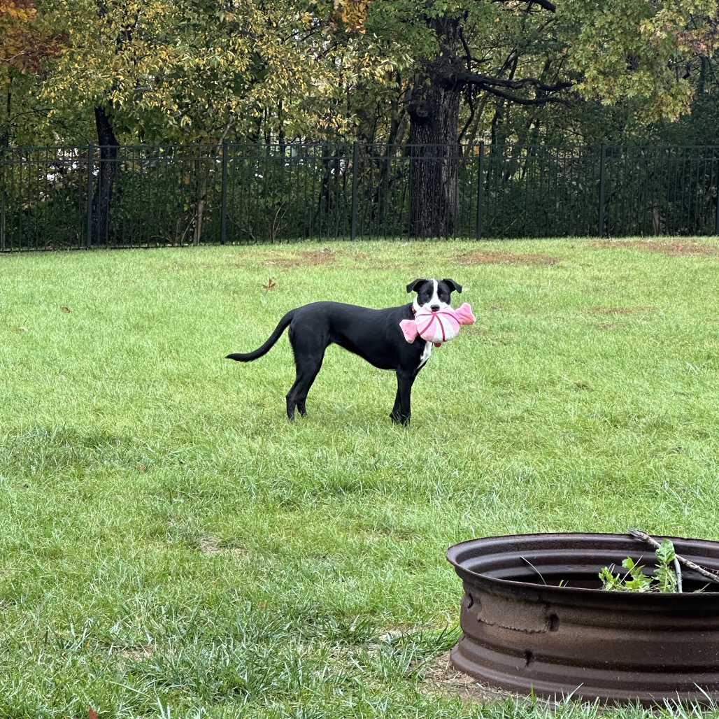 Esther