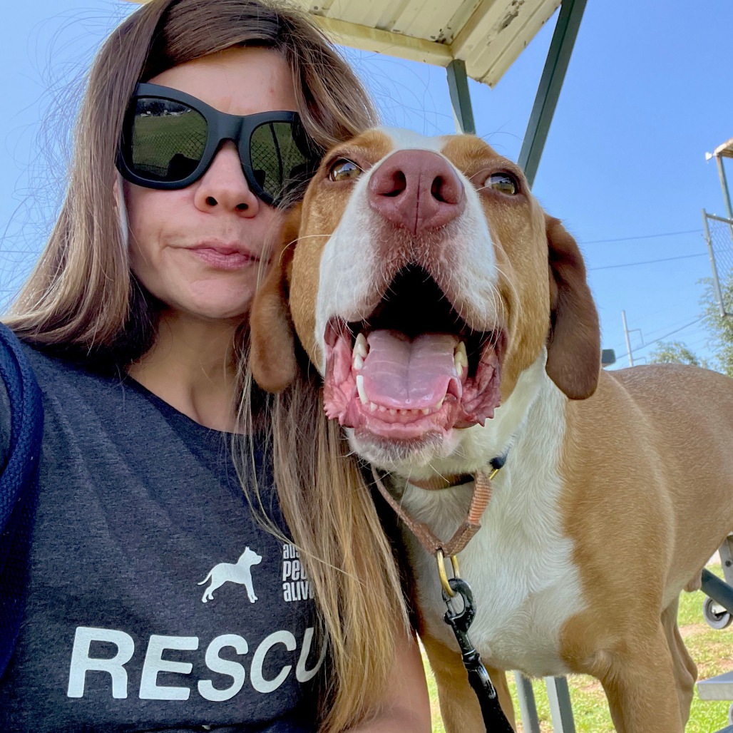 Bandito — thumbnail 9