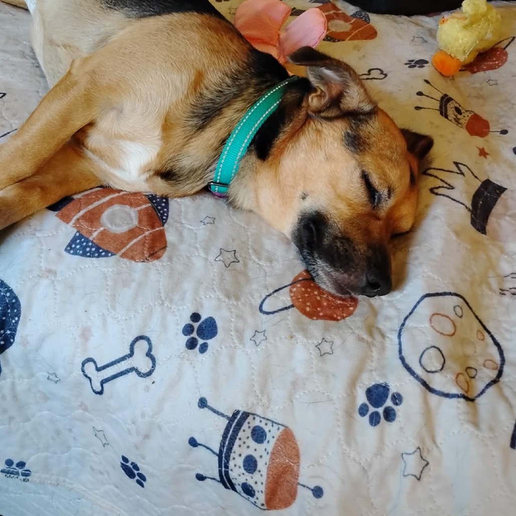 Butters photo 2