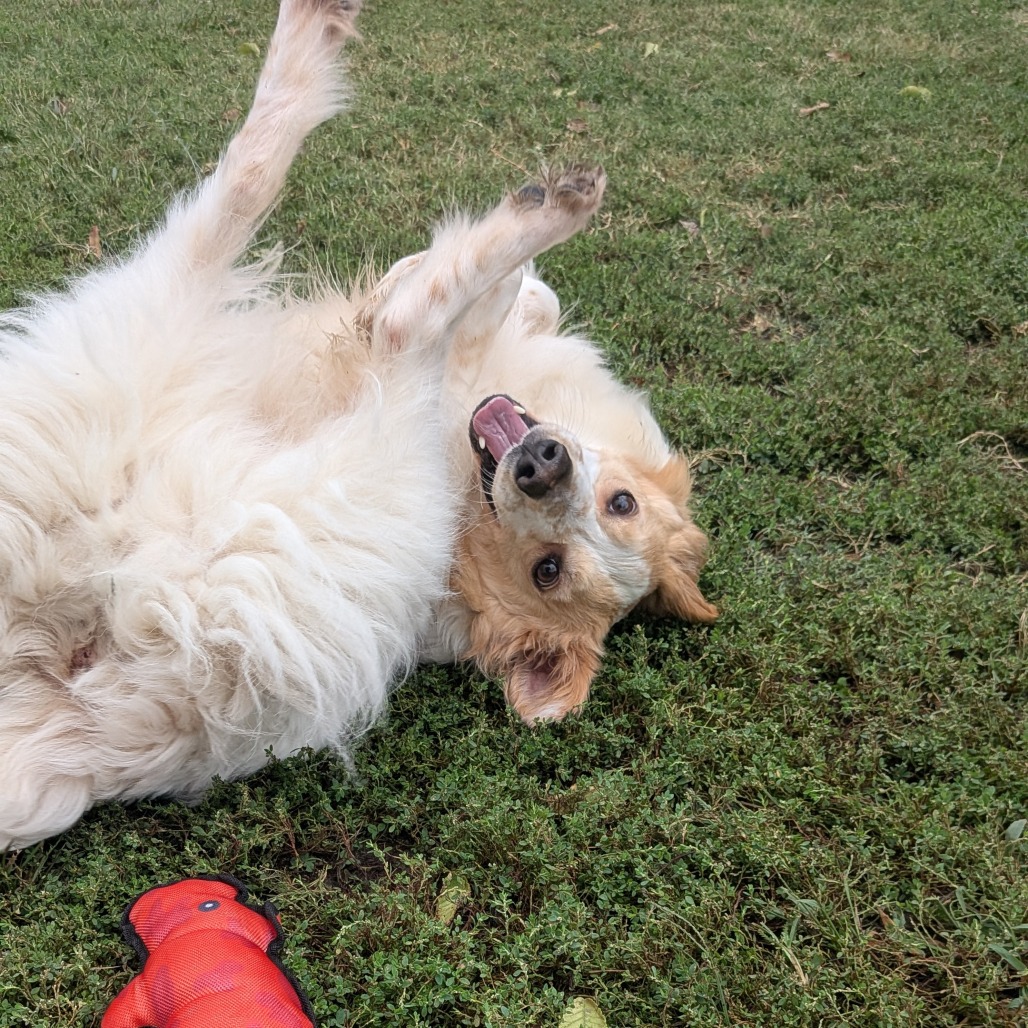 Sandy photo 8