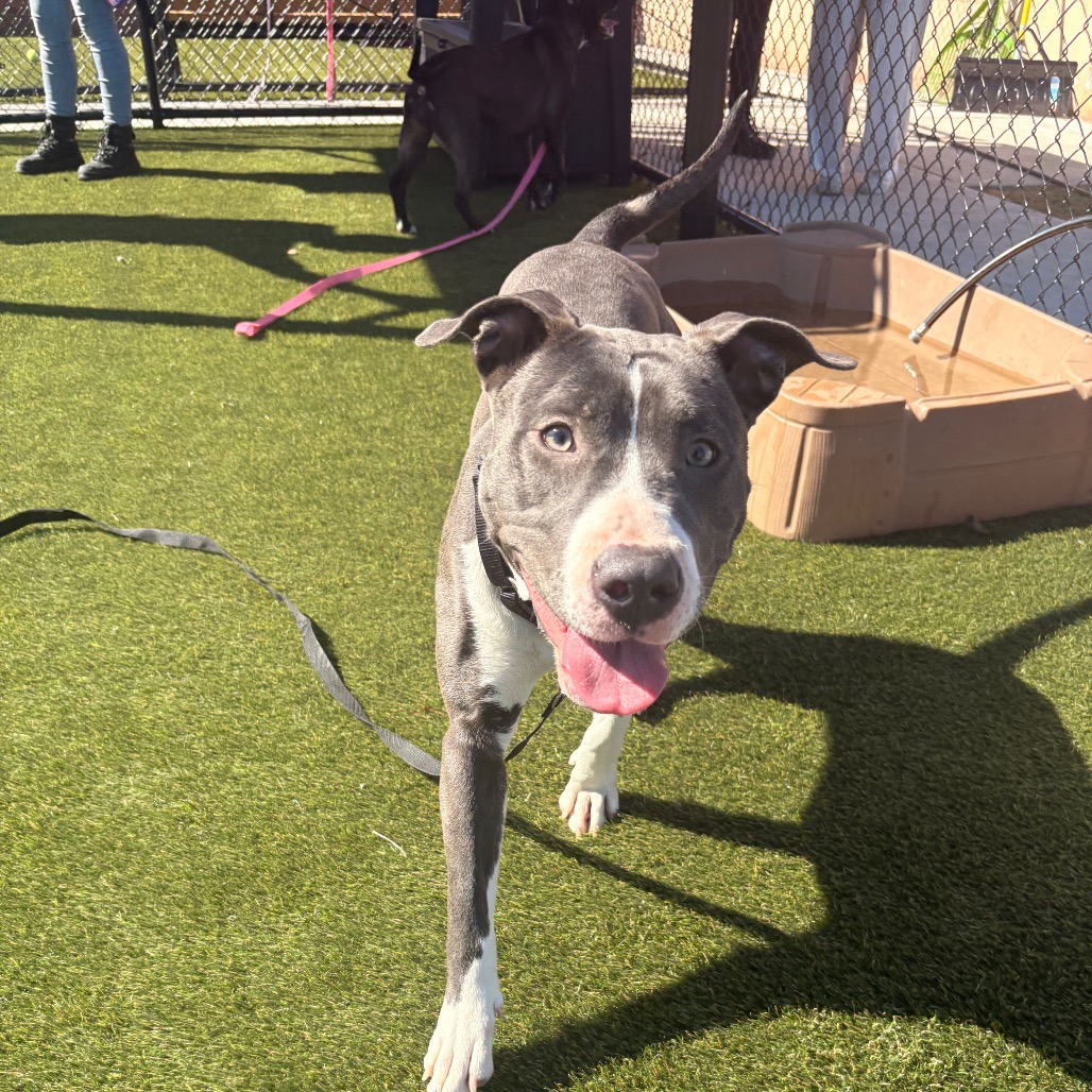 Bubbaley — thumbnail 5