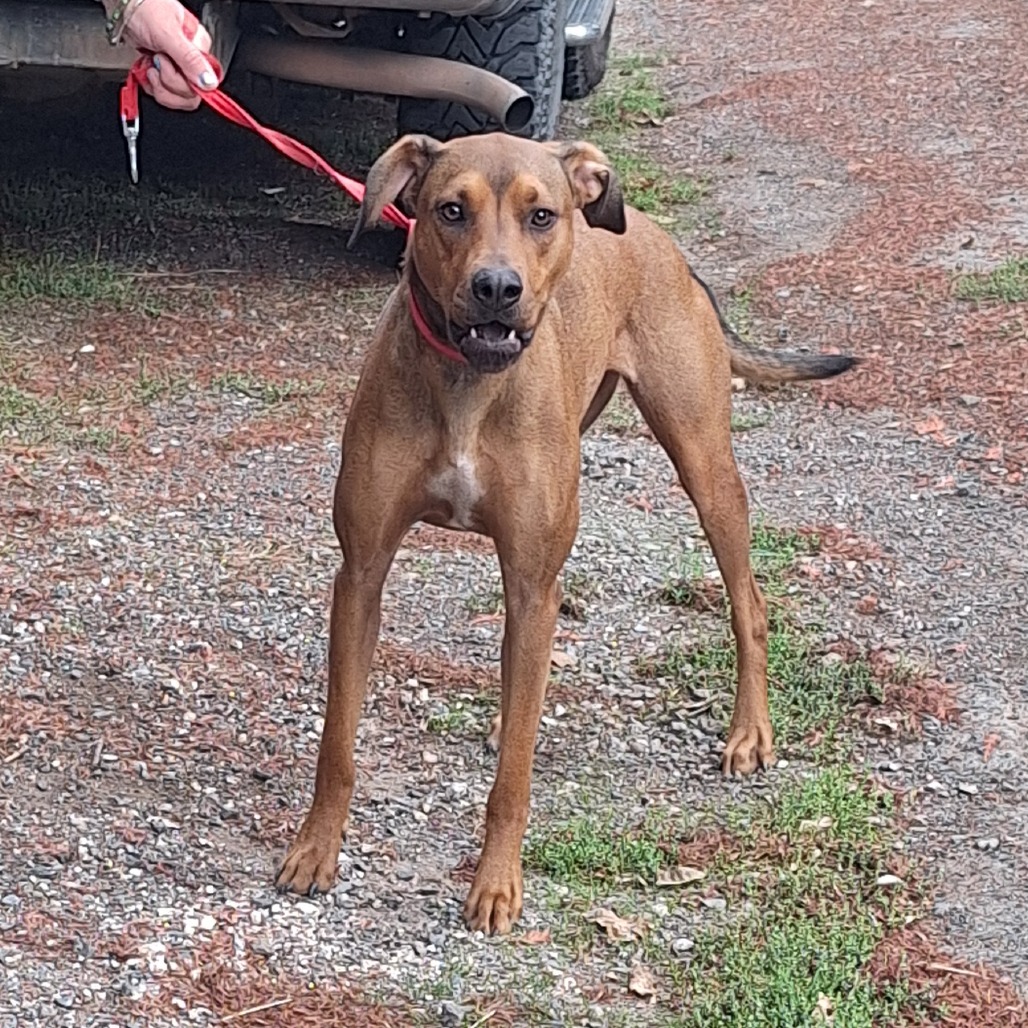 Kennel#6 Athena's preview photo