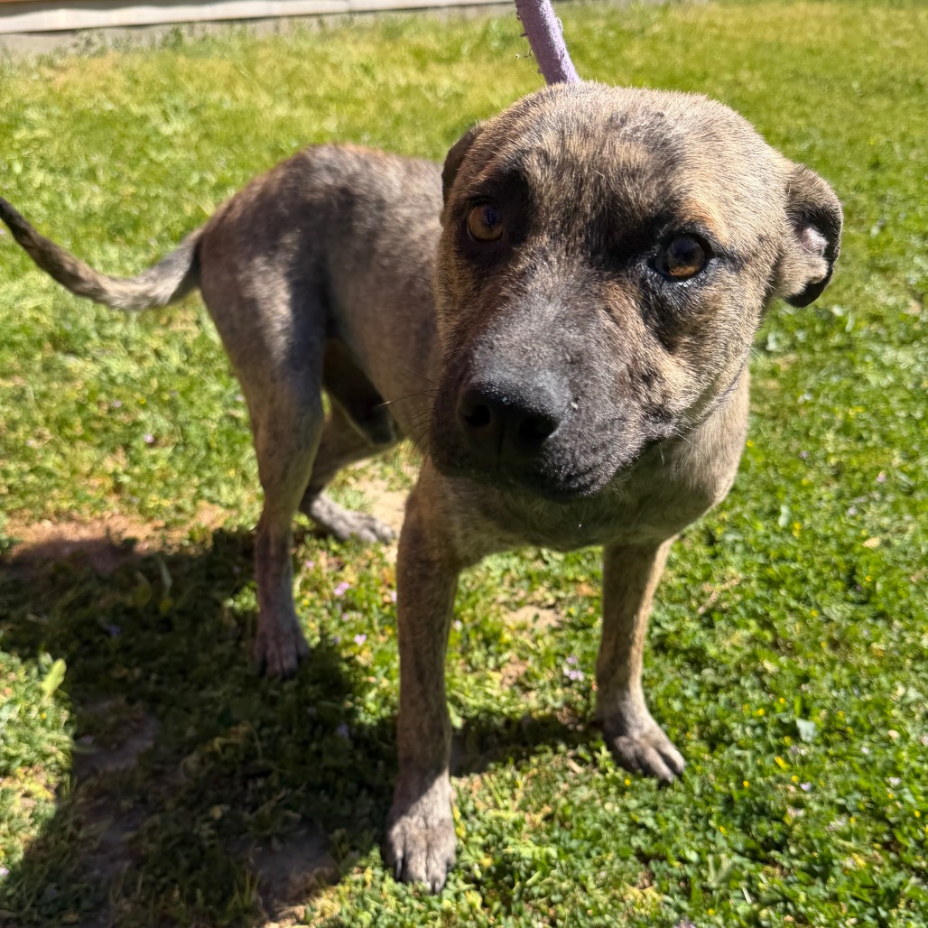 Kennel#8 Bruce's preview photo