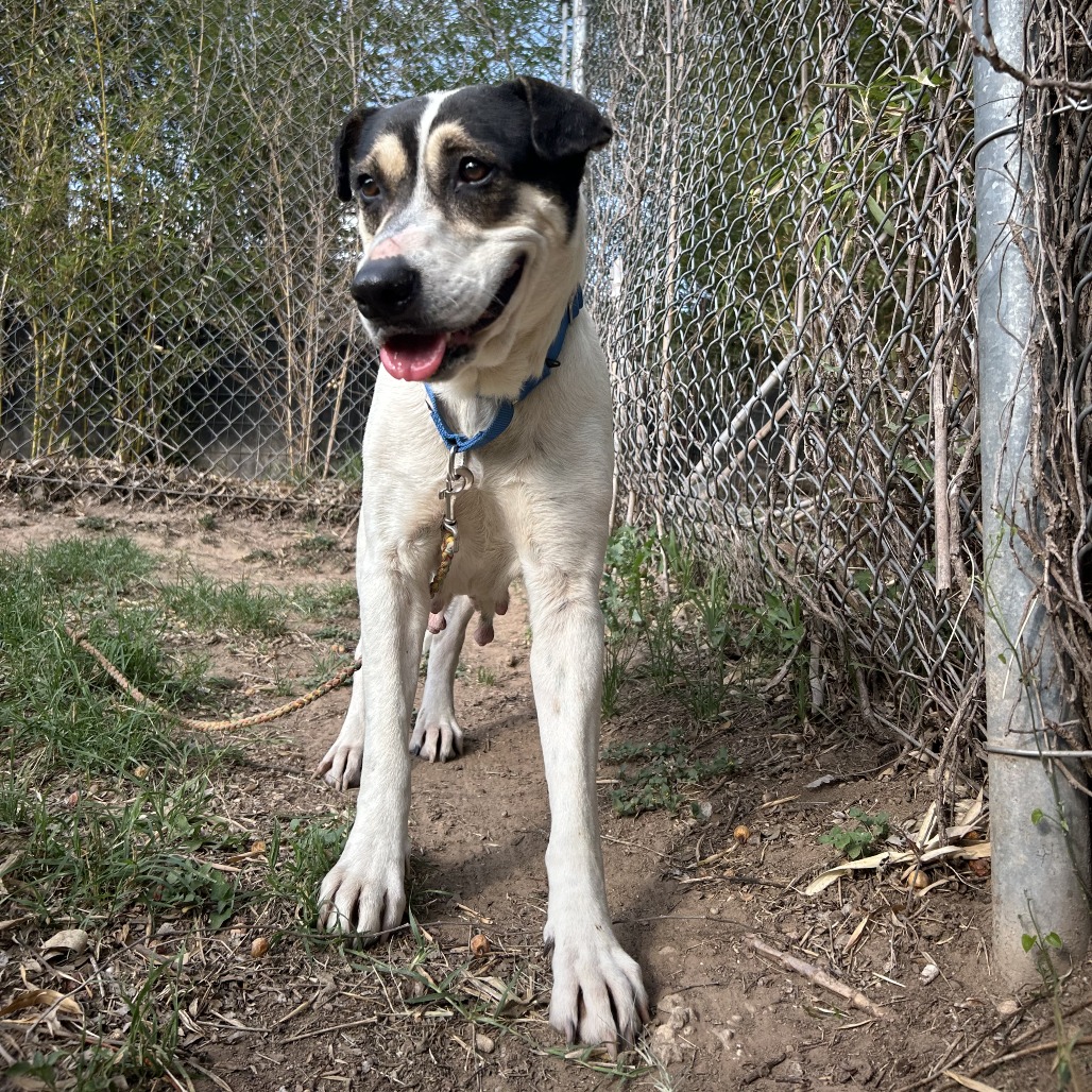 Regina George — thumbnail 7