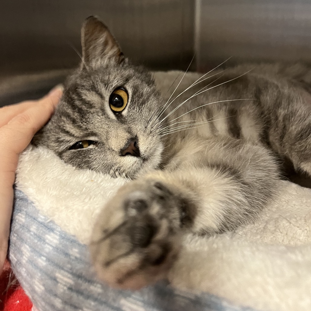 df5769f3d19ed16b9e97465d71df1ef2