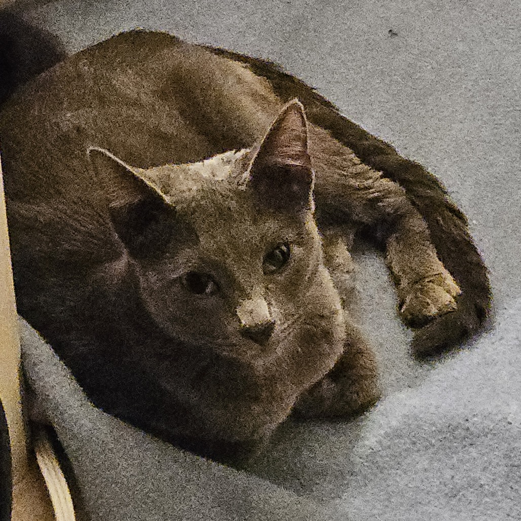 Athena picture #5