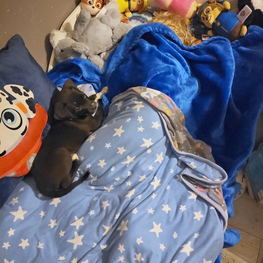 Chaos aka Betty Lu — thumbnail 10