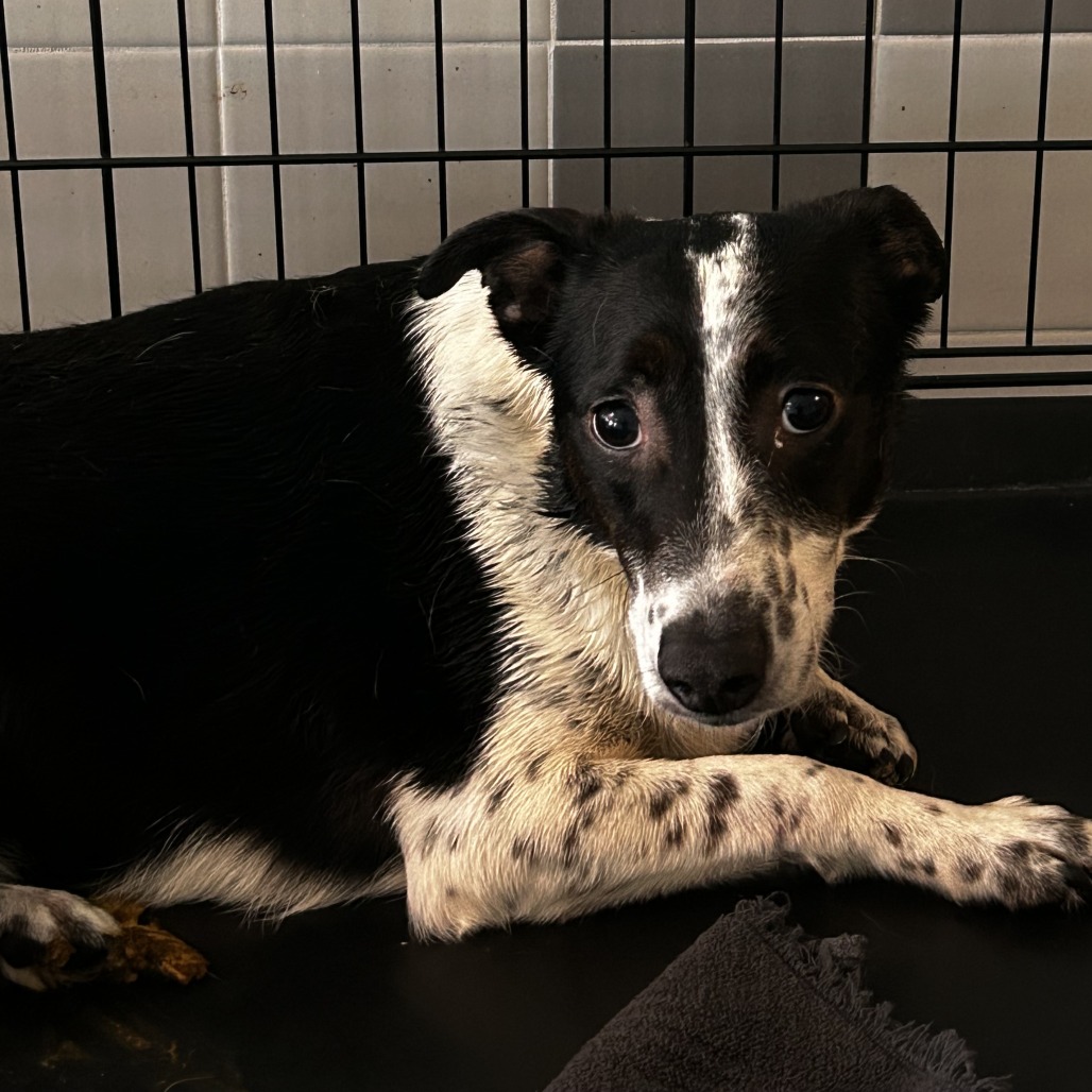 Maze — thumbnail 2