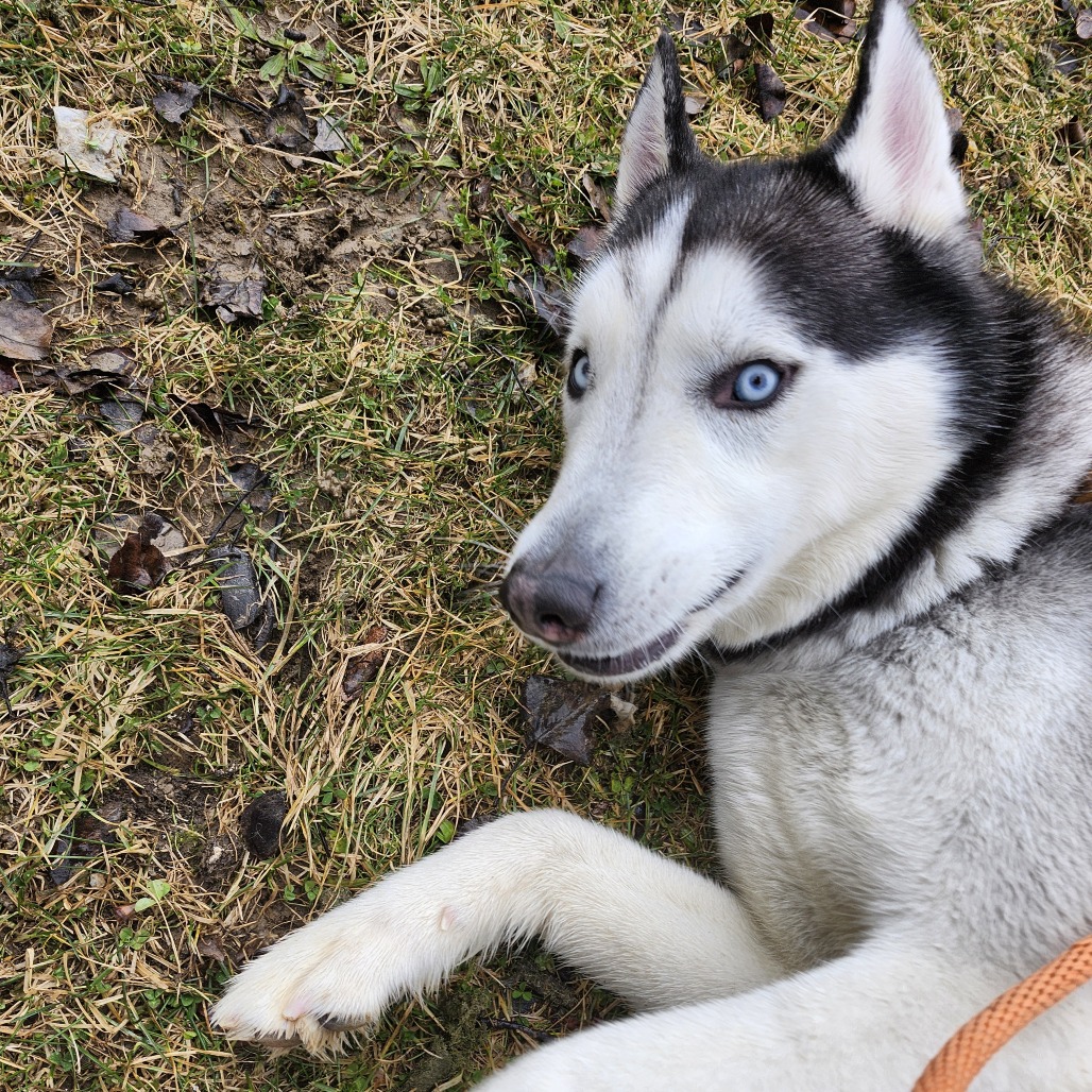 Franklin — thumbnail 2