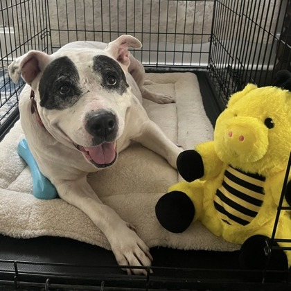 Diamond — thumbnail 7