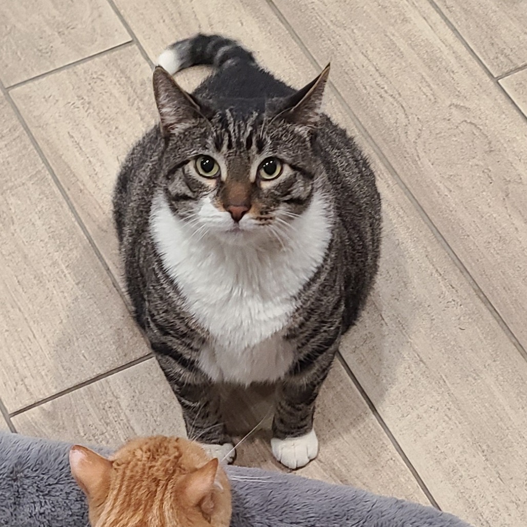 Brad — thumbnail 3