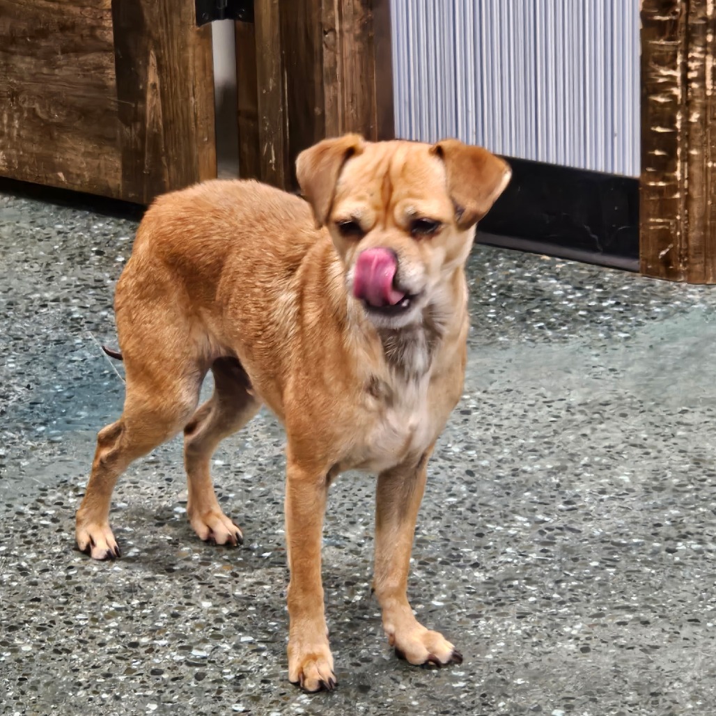 Jimmy — thumbnail 3