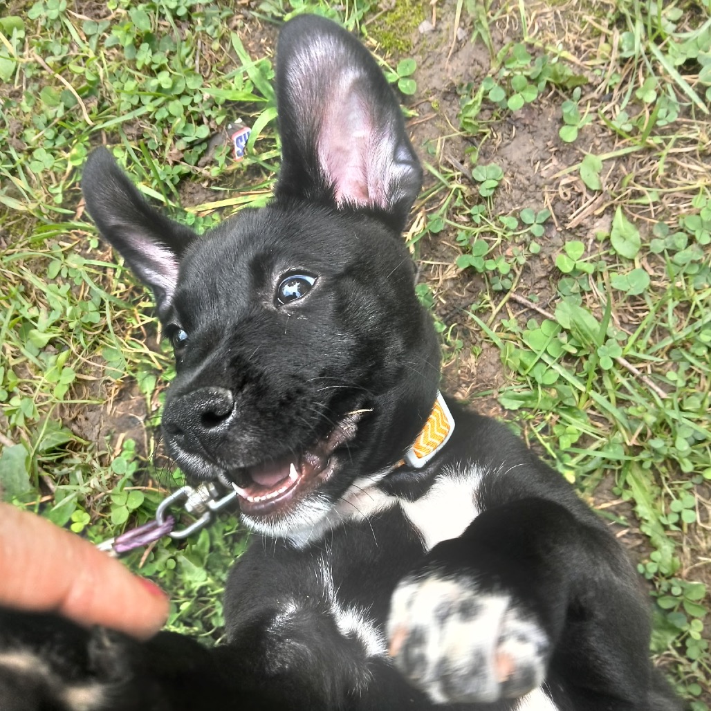 Coco, photo 4