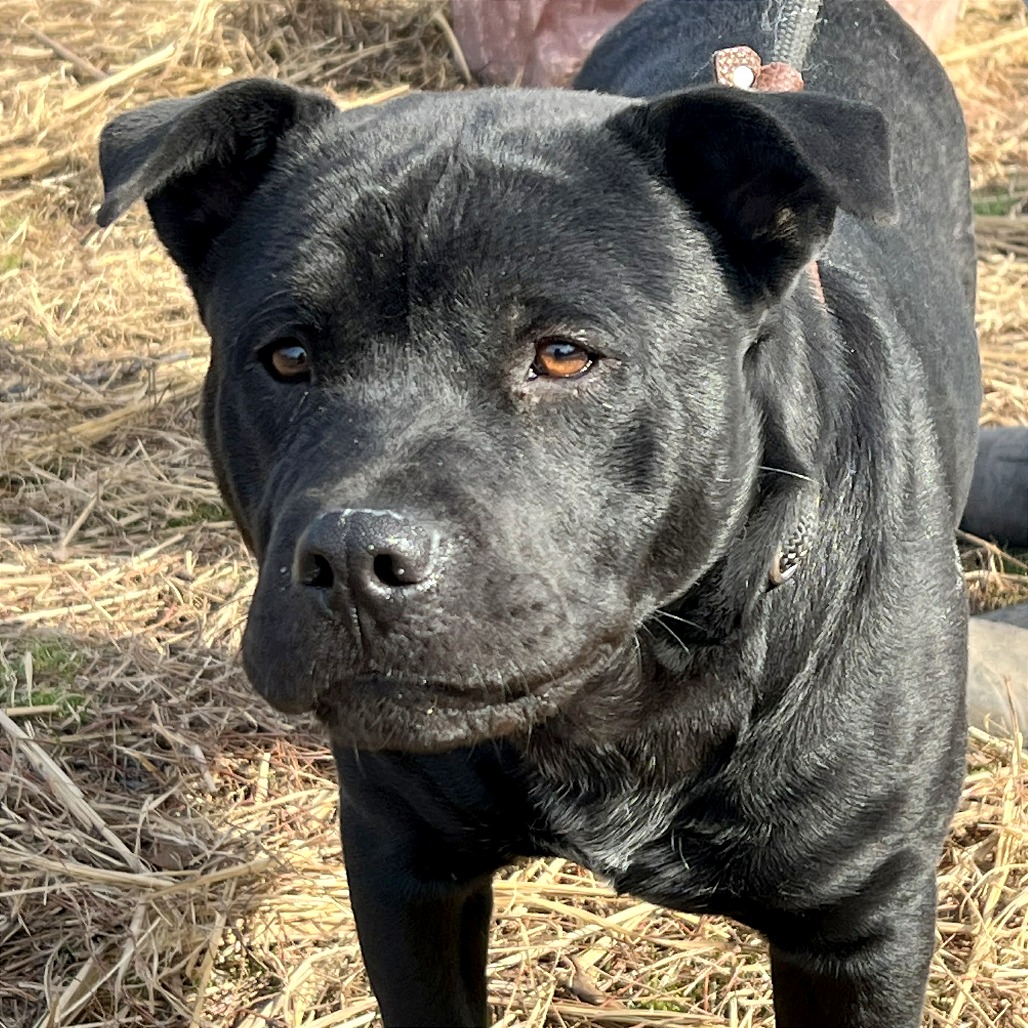 Leroy — thumbnail 10