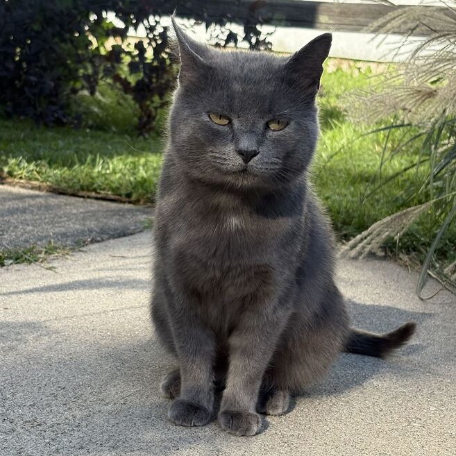 Stavros, photo 2