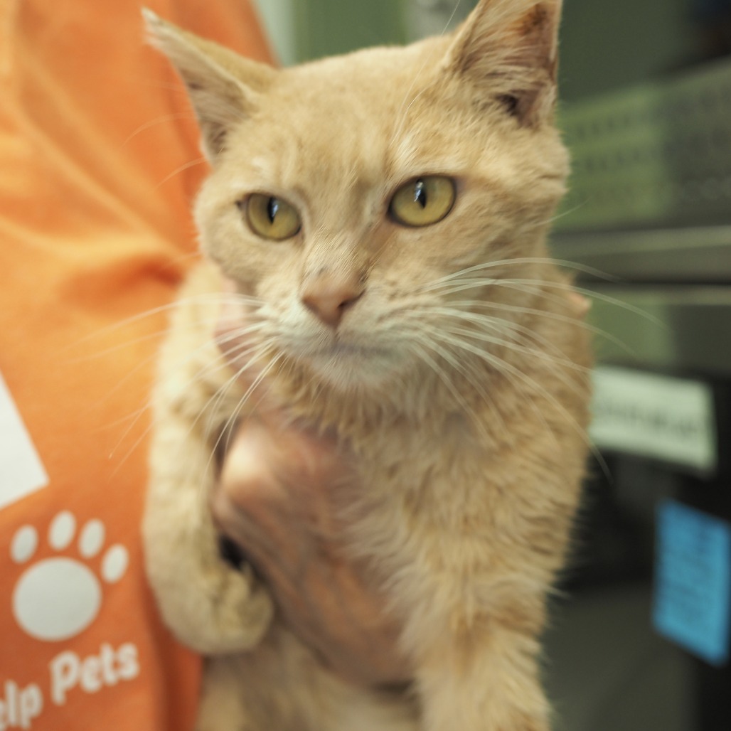 Gare Bear — thumbnail 8