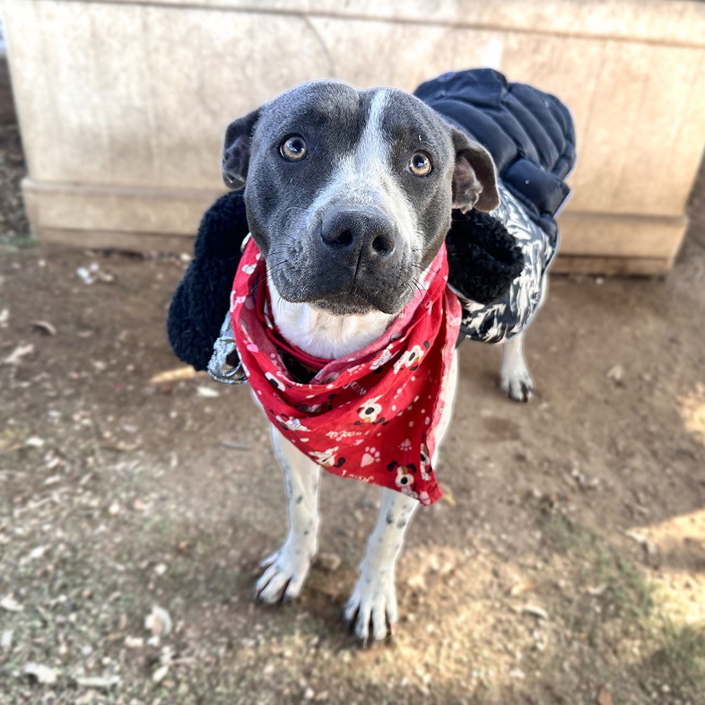 Lillian — thumbnail 11