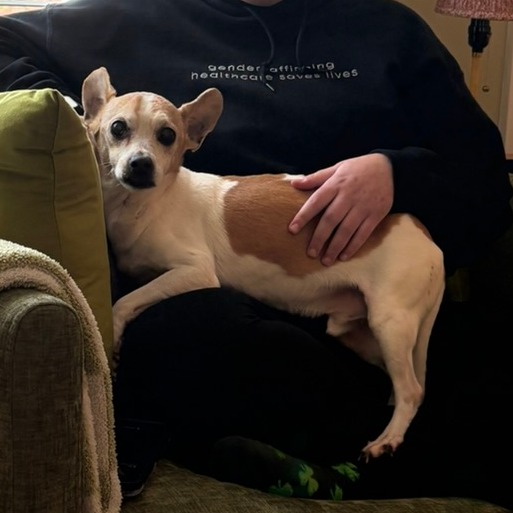 Gary — thumbnail 4