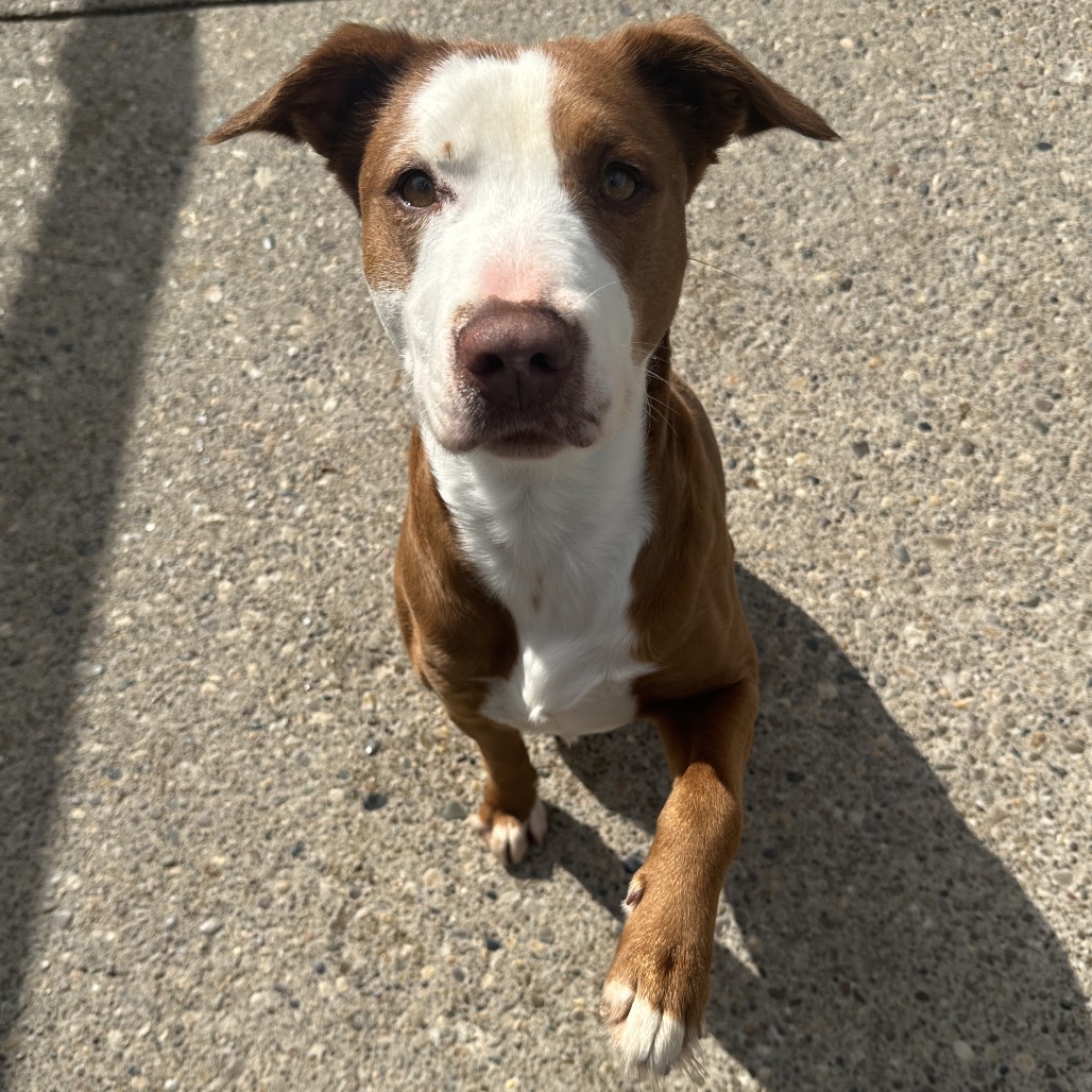 Molly — thumbnail 4